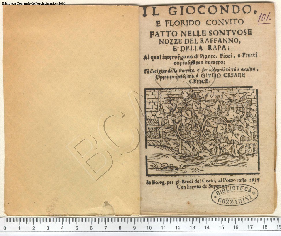 Cliccami per tornare indietro